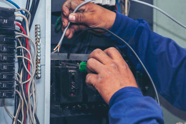 Best Electrical Troubleshooting Services  in Rushvle, IL